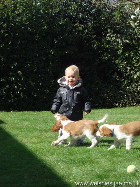 2009-04-08 66L.JPG